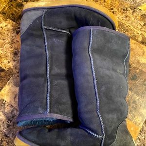 Navy uggs